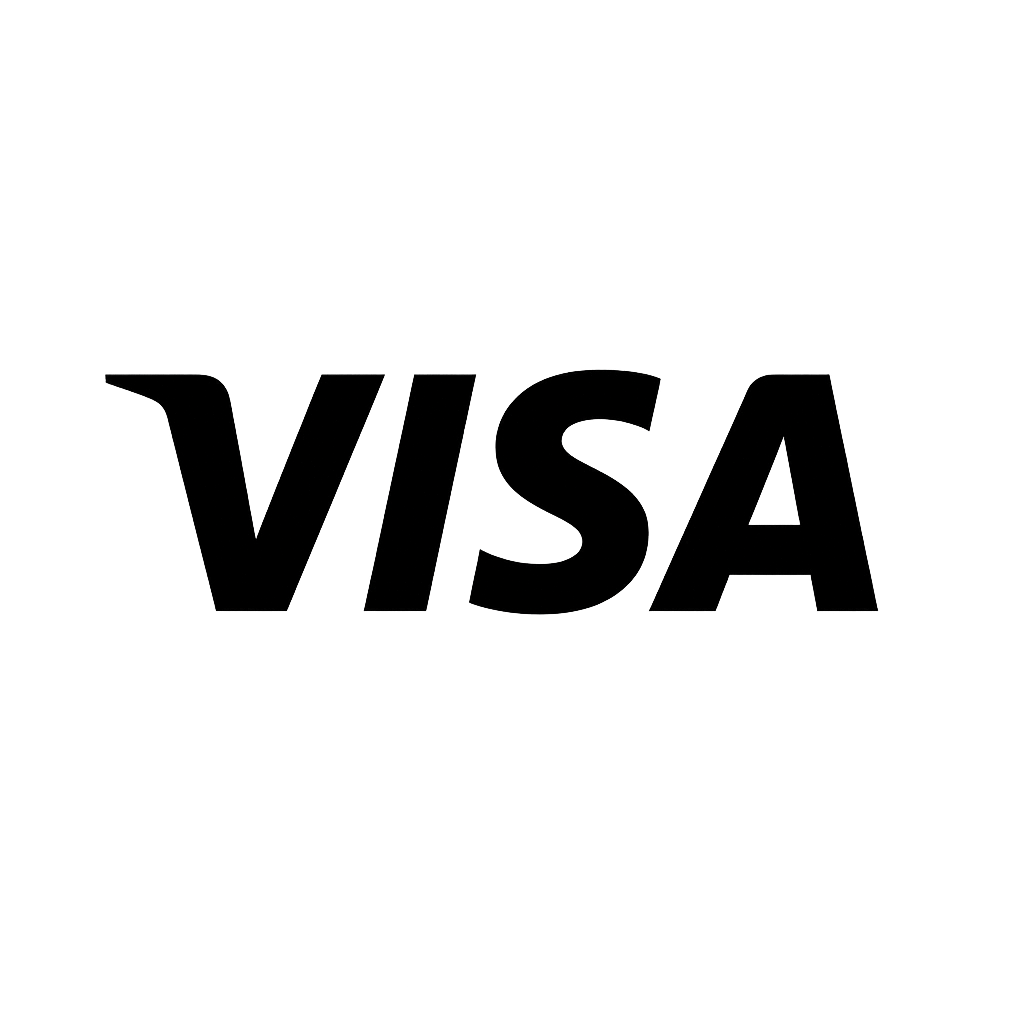 Buran Casino - Visa Payment Method